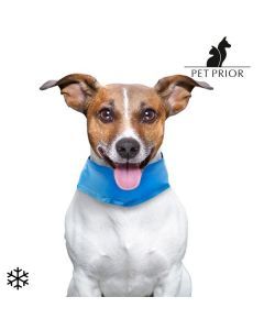 Kylande hundhalsband Pet Prior